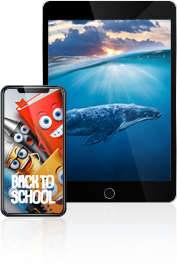 téléchargement d’application IPTV